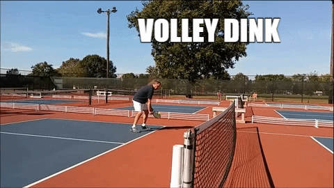 pickleballmax giphygifmaker GIF