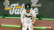 College Baseball Lee GIF by GreenWave
