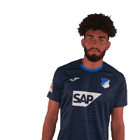 Kevin Akpoguma Sport Sticker by TSG Hoffenheim