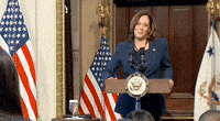 VP Kamala Harris: "I'm glad you asked."