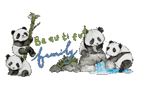Family Panda Sticker