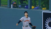 Giants Baseball GIF by San Francisco Giants