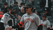 Giants Baseball Good Job GIF by San Francisco Giants