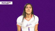 Purple Aces Evansville Volleyball GIF by UE Athletics