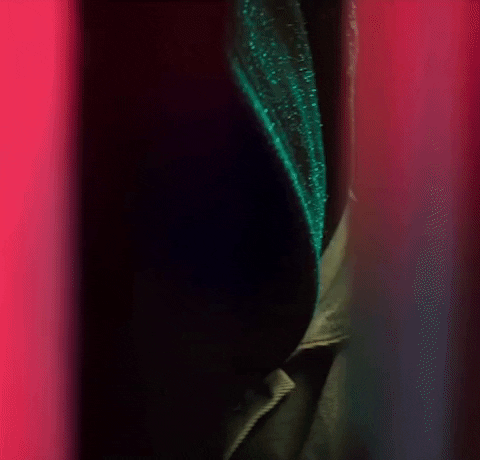 What Do You Mean GIF by Justin Bieber