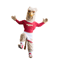 chestnuthillcollege college university mascot philadelphia Sticker