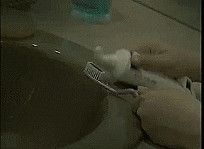 asyaakdogan giphyupload GIF