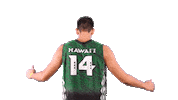 Ncaa Volleyball Sticker by Hawaii Athletics