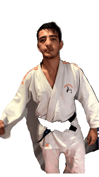 Swannsauzay Sticker by Chaponost Judo