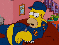 homer simpson episode 10 GIF