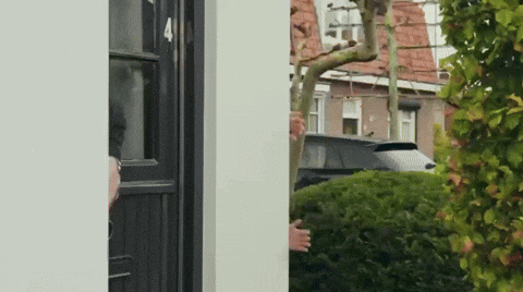 Peaking GIF by Hibe media