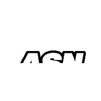 Teamasn Sticker by ASN