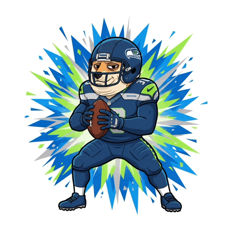 Shiba Inu Football GIF by Doge Pound