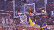 lebron james GIF