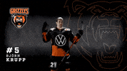 Ice Hockey GIF by Grizzlys Wolfsburg