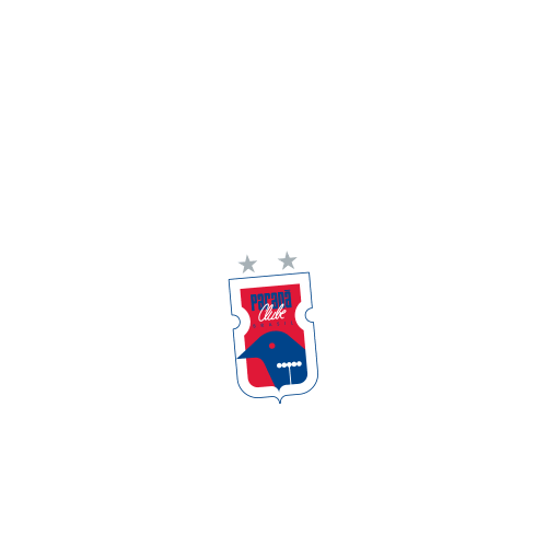 paranaclube giphyupload gol parana valente Sticker