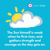 Sun Day GIF by Learner Circle