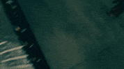 daddy yankee GIF by Janet Jackson