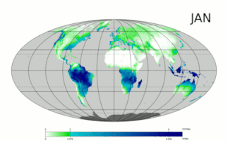 wikipedia GIF