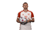 Fc Bayern Ball Sticker by Bundesliga
