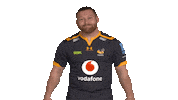 Rugby Sticker by Wasps