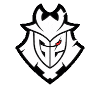 G2 Vct Sticker by VALORANT