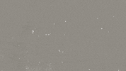 GIF by Sony Music Nashville