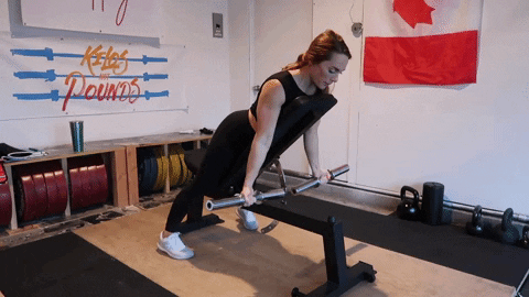 megsquats giphyupload GIF