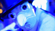 wahshow wah wahshow wahmadrid wah madrid GIF