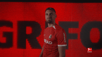 Sc Freiburg Thumbs Up GIF by Bundesliga