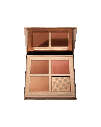 Makeup Highlighter Sticker by Caia Cosmetics
