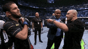 Mixed Martial Arts Sport GIF by UFC