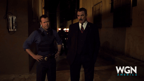 wgnamerica giphyupload mustache blue bloods tom selleck GIF