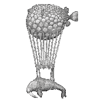 Aquatic Creatures Art Sticker by Aquatic Creatures by Riccardo Capuzzo