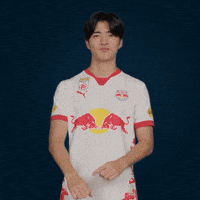 Football Sport GIF by FC Red Bull Salzburg