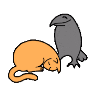 vmumok cat crow vmumok vmumokhug Sticker