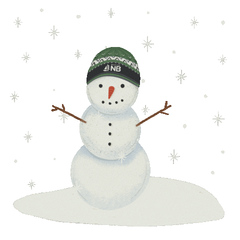 Winter Snowman Sticker by destinationnb