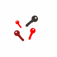 Trealtorr real estate key new home dream home GIF