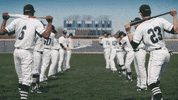 collegeoflakecounty sports sport baseball college GIF