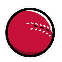 BoostEnergy football kids energy cricket Sticker