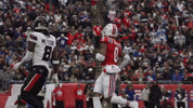Football Nfl GIF by New England Patriots