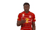 Red Bull Victory Sticker by FC Red Bull Salzburg