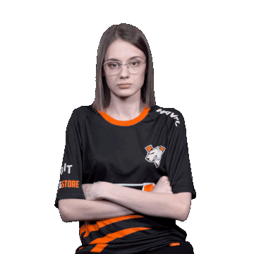 The Bears Esports Sticker by Virtus.pro