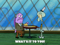 season 5 GIF by SpongeBob SquarePants