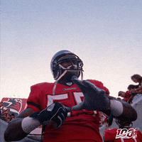 National Football League GIF by NFL