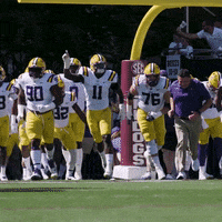 Lsu Football Win GIF by LSU Tigers