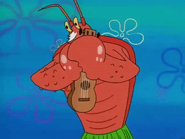 season 3 the algae's always greener GIF by SpongeBob SquarePants