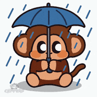 Happy Good Morning GIF by Chimpers