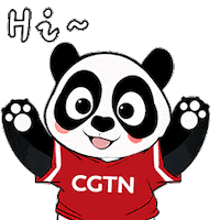Happy Panda Sticker by CGTN V-Studio