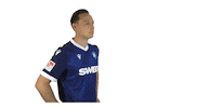 Bundesliga Robin Sticker by Karlsruher SC
